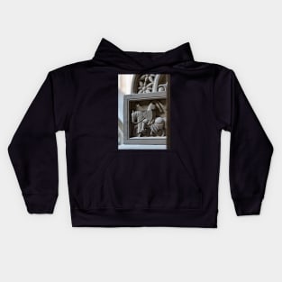 Stone work in  Penrhyn castle2 Kids Hoodie